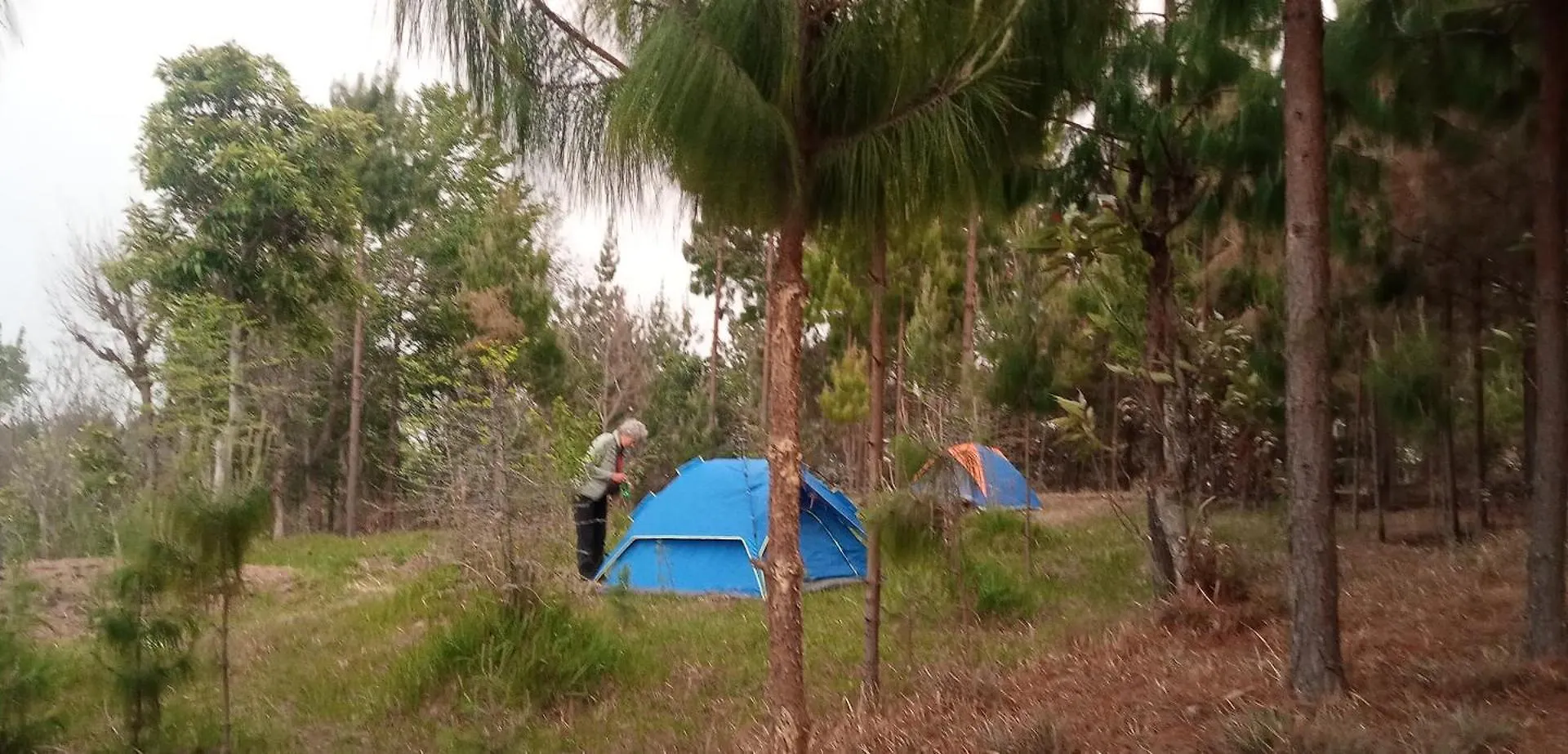 Campsite Everest Home Stay Apartment II Timal Kalimati Tower