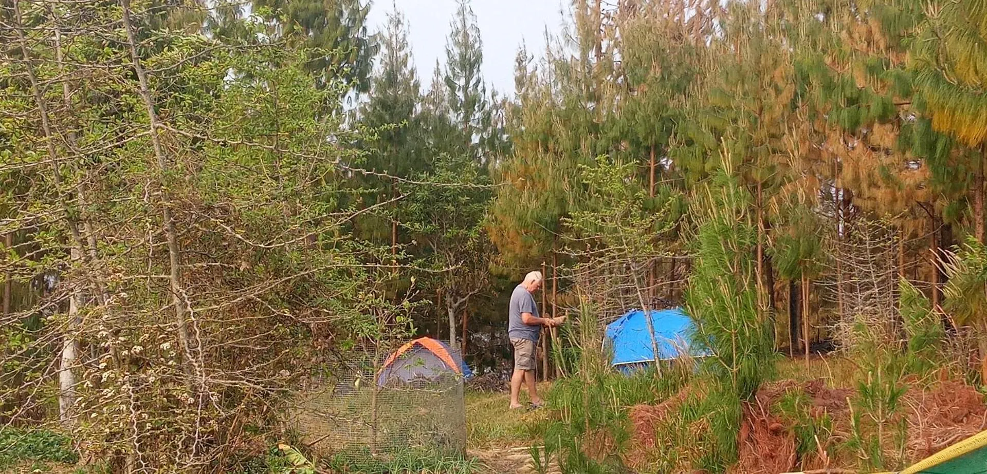 Everest Home Stay Apartment II Timal Kalimati Tower Campsite
