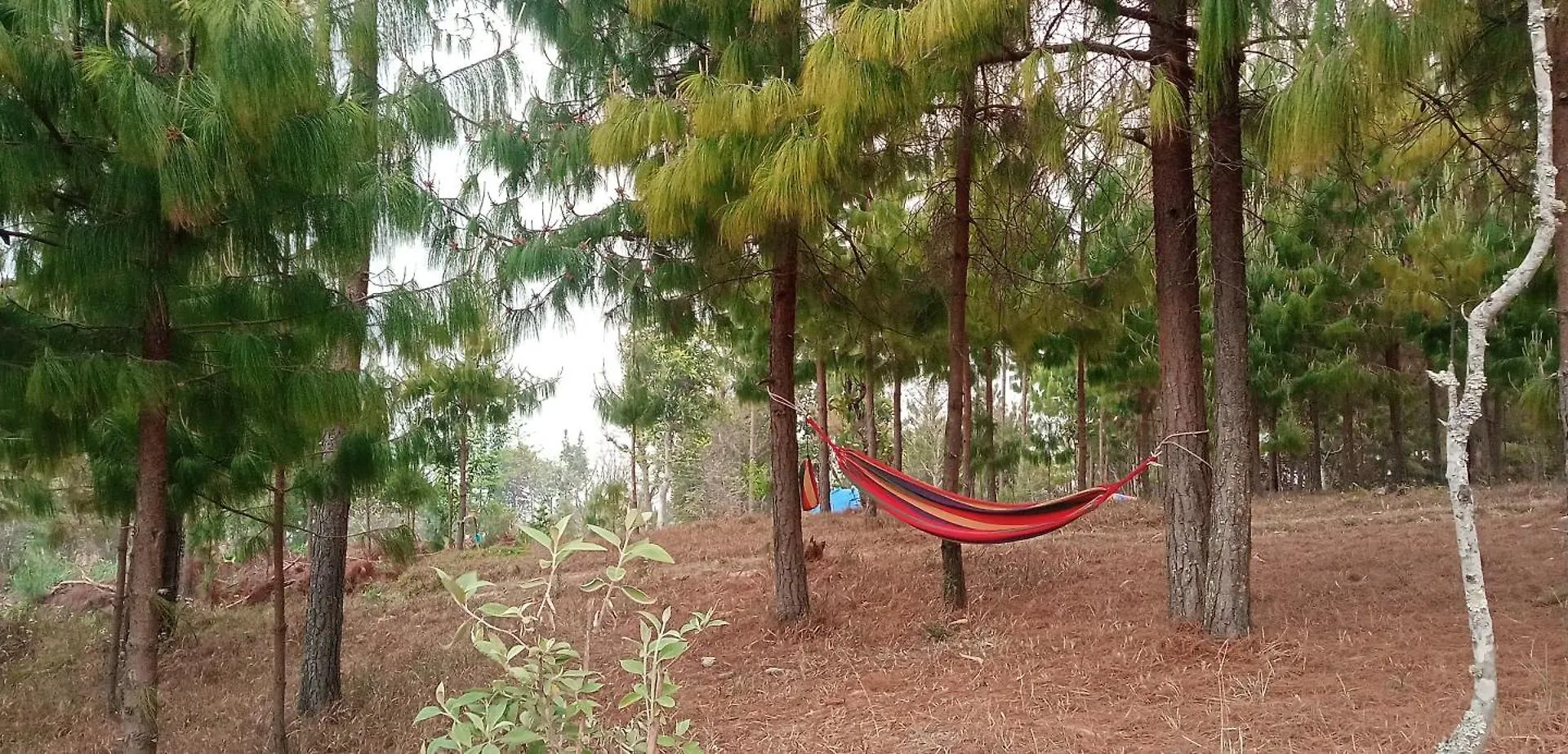 Everest Home Stay Apartment II Timal Kalimati Tower