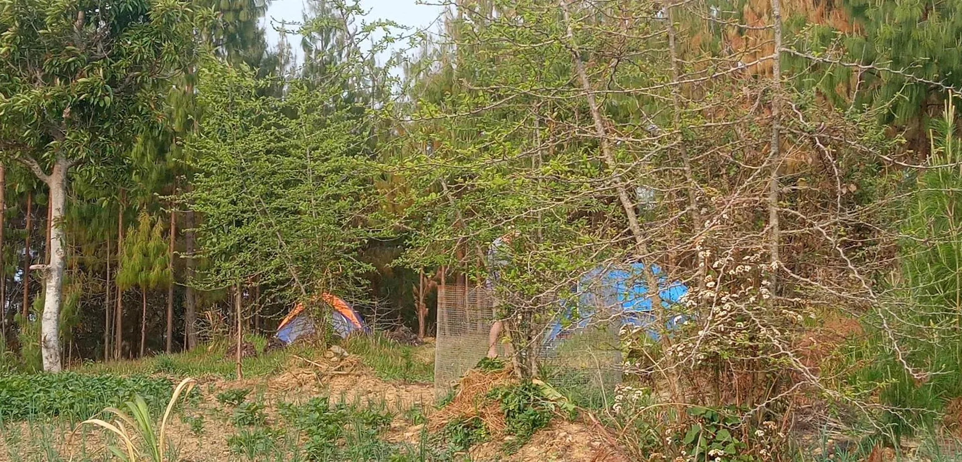 Campsite Everest Home Stay Apartment II Timal Kalimati Tower