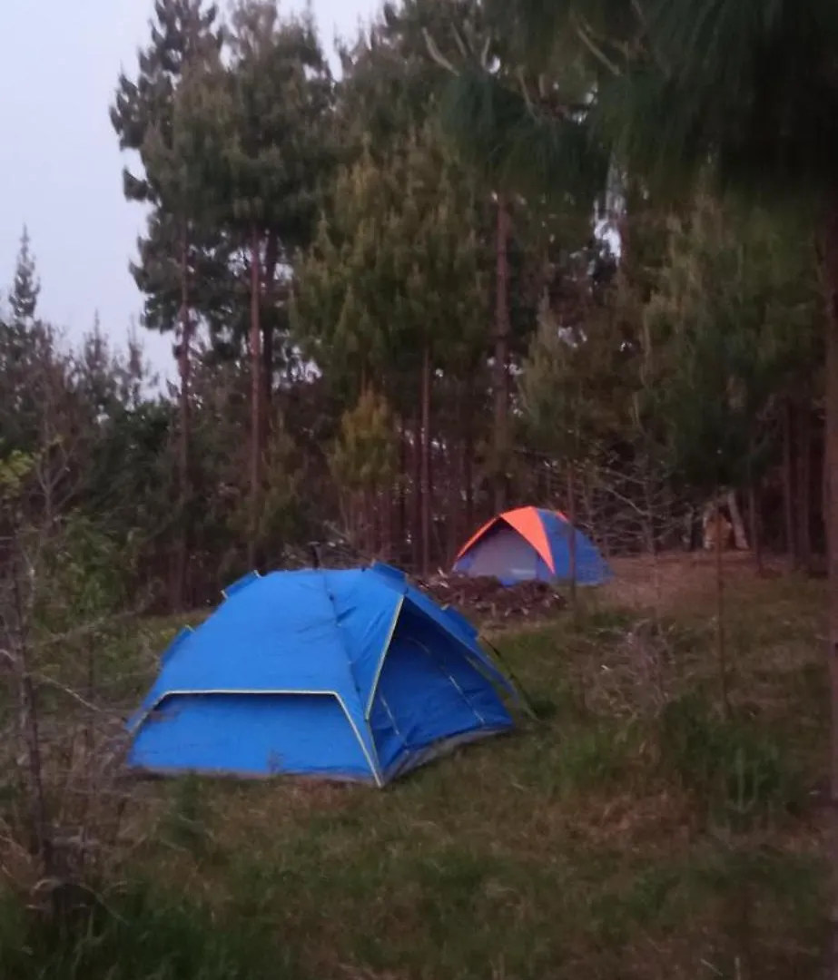 Everest Home Stay Apartment II Timal Kalimati Tower Kathmandu Campsite