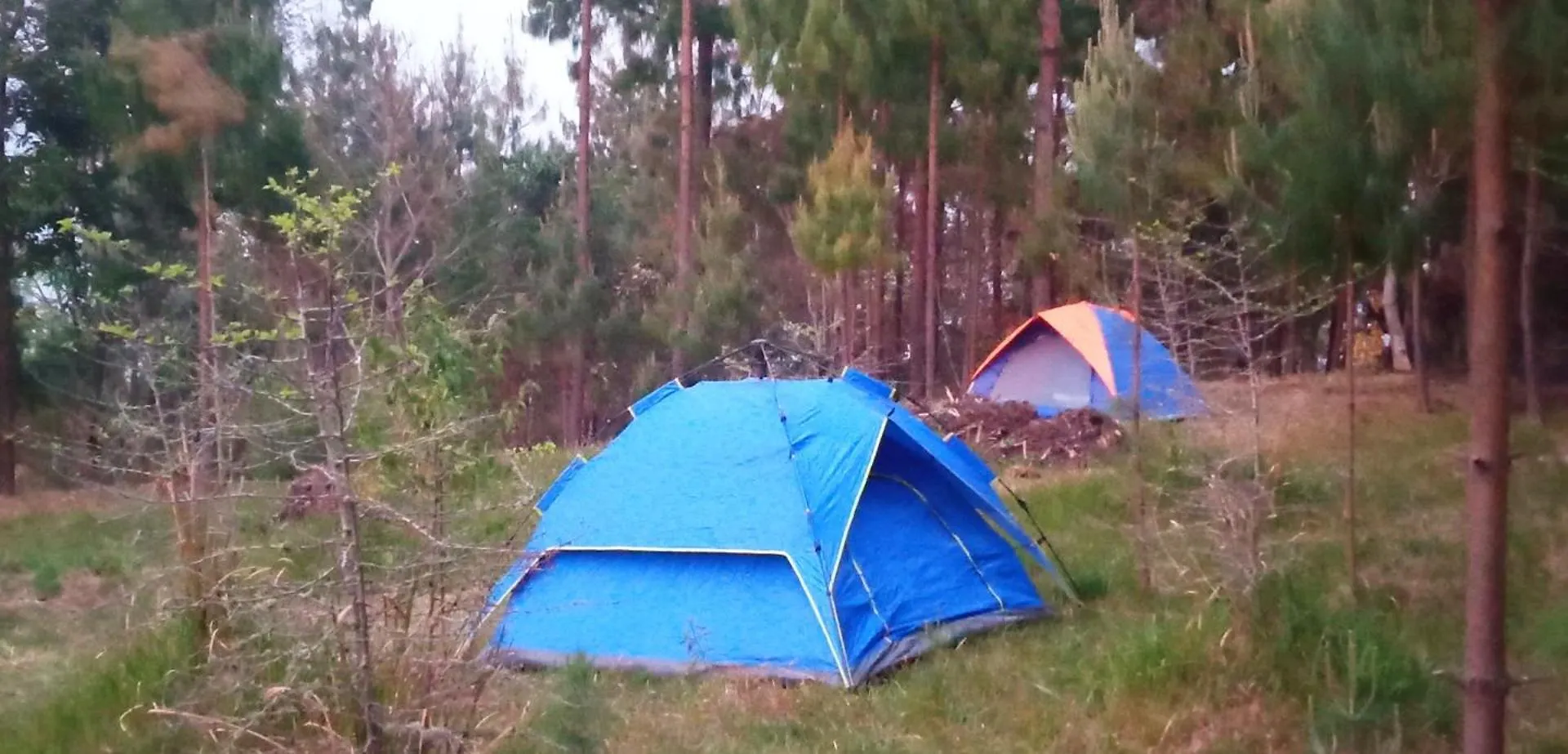 Everest Home Stay Apartment II Timal Kalimati Tower Kathmandu Campsite