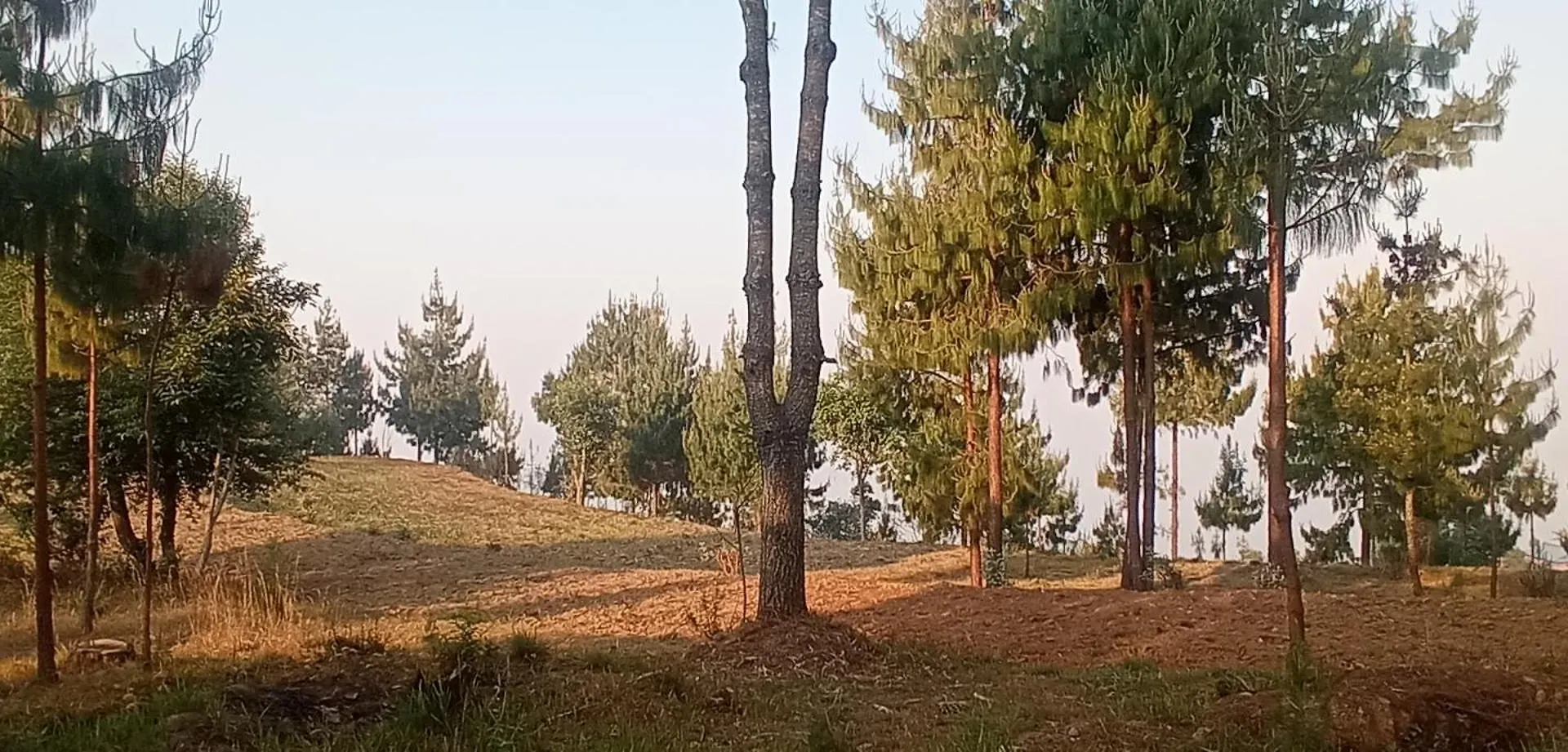Everest Home Stay Apartment II Timal Kalimati Tower Campsite