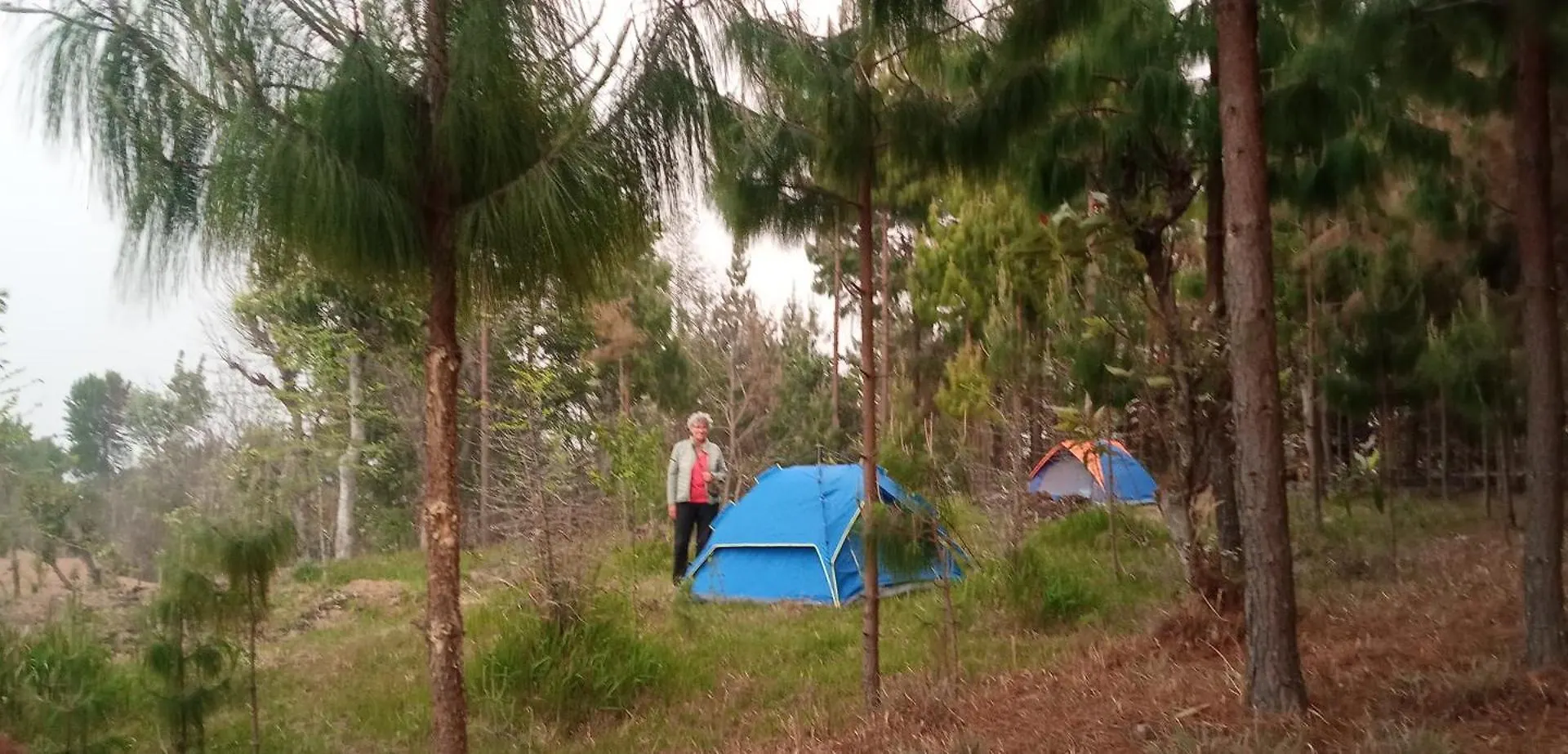 Campsite Everest Home Stay Apartment II Timal Kalimati Tower