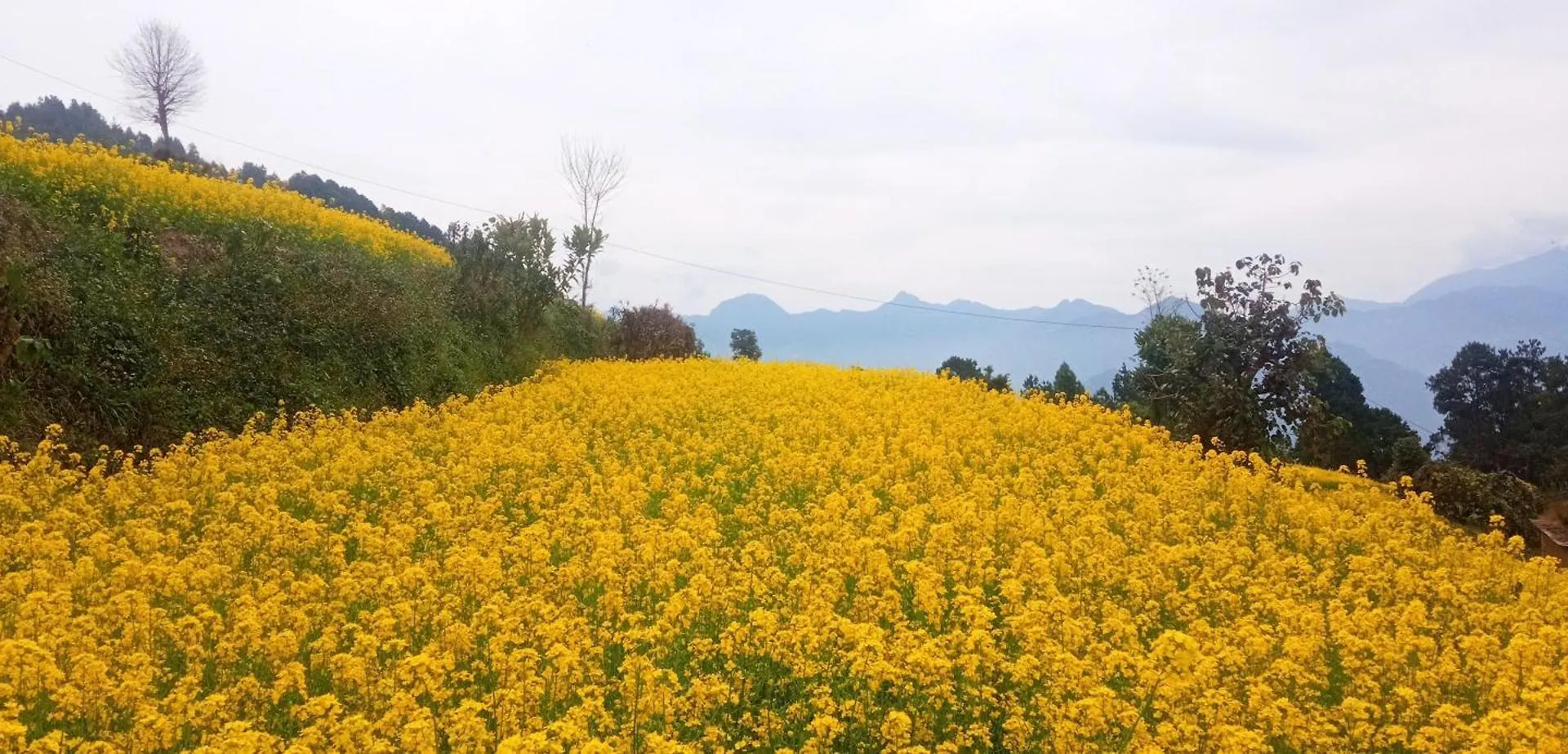 Everest Home Stay Apartment II Timal Kalimati Tower Nepal