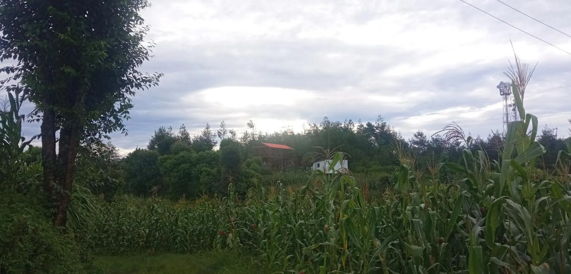 Everest Home Stay Apartment II Timal Kalimati Tower