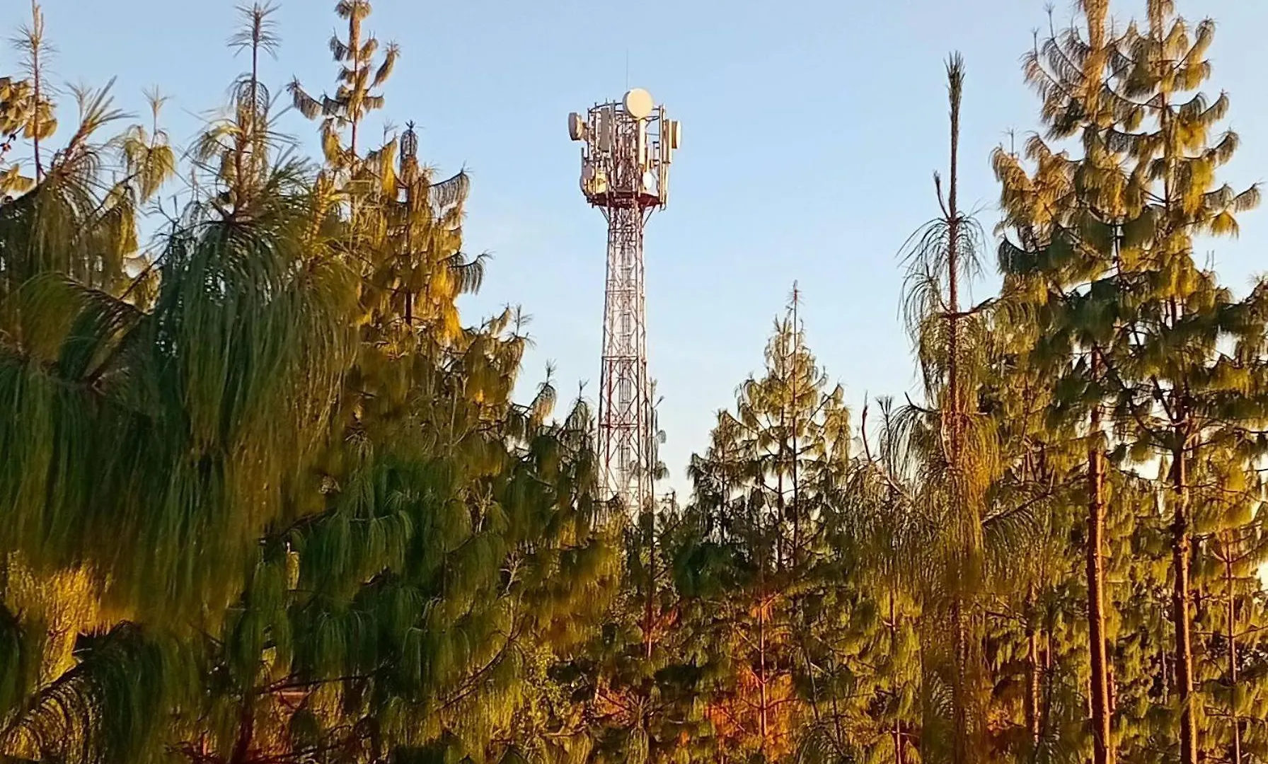 Campsite Everest Home Stay Apartment II Timal Kalimati Tower Nepal