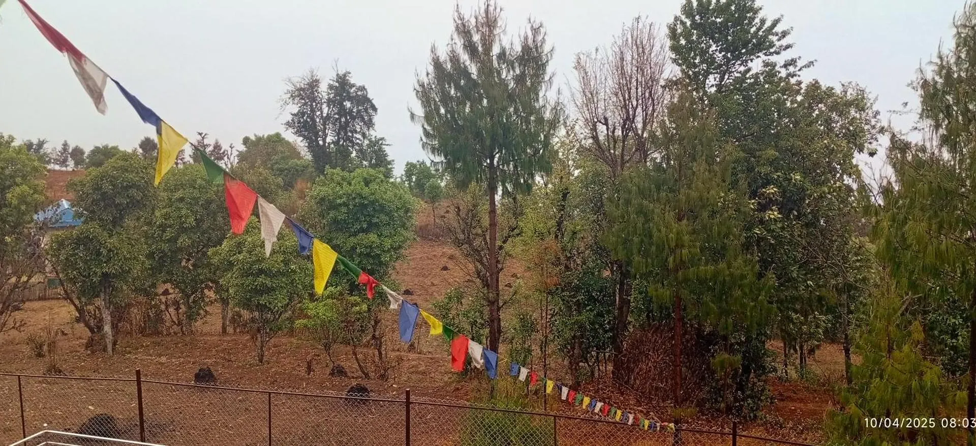 Everest Home Stay Apartment II Timal Kalimati Tower Campsite Kathmandu