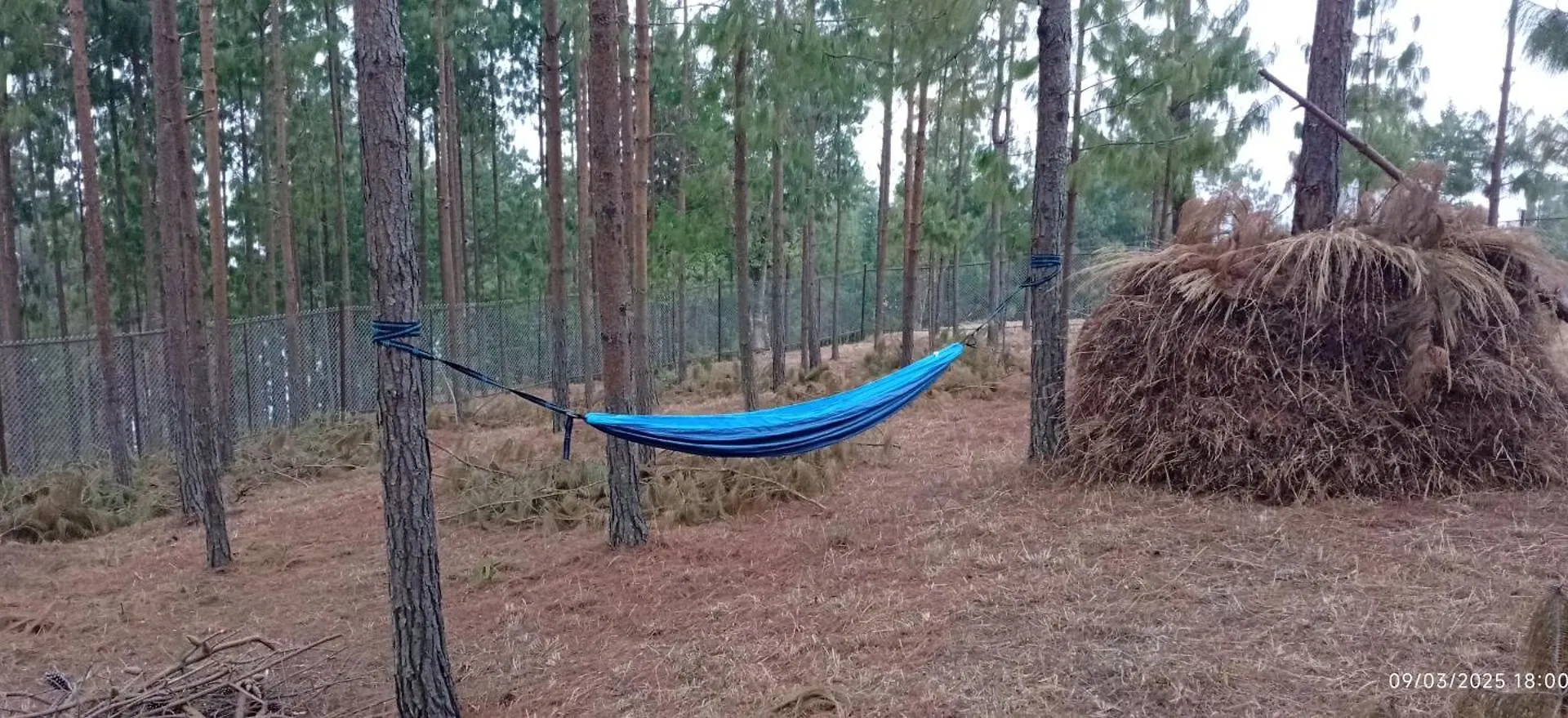 Everest Home Stay Apartment II Timal Kalimati Tower Campsite